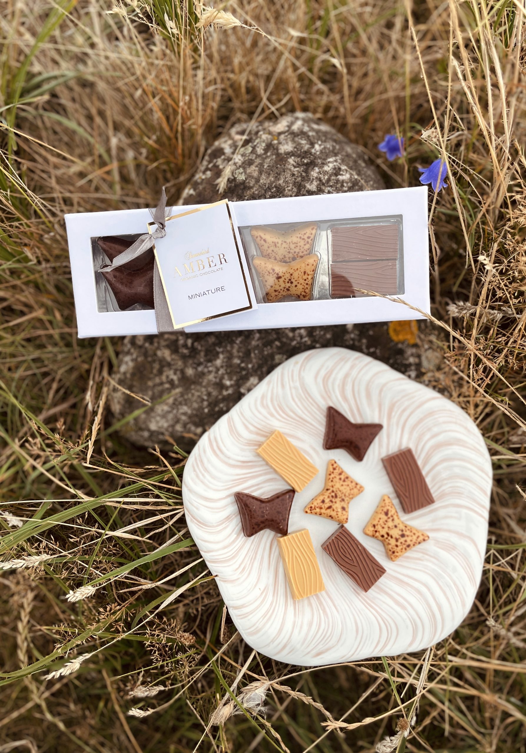 Ny særaftale med Summerbird!